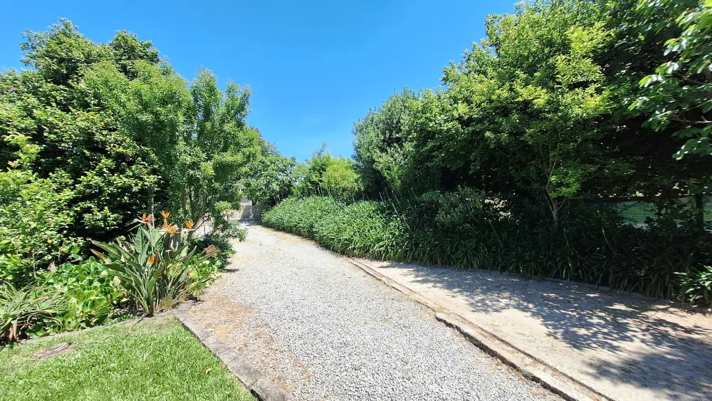 Path
