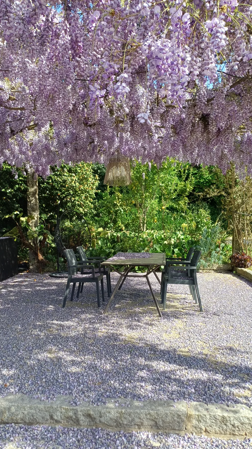 Wisteria and outdoor dining