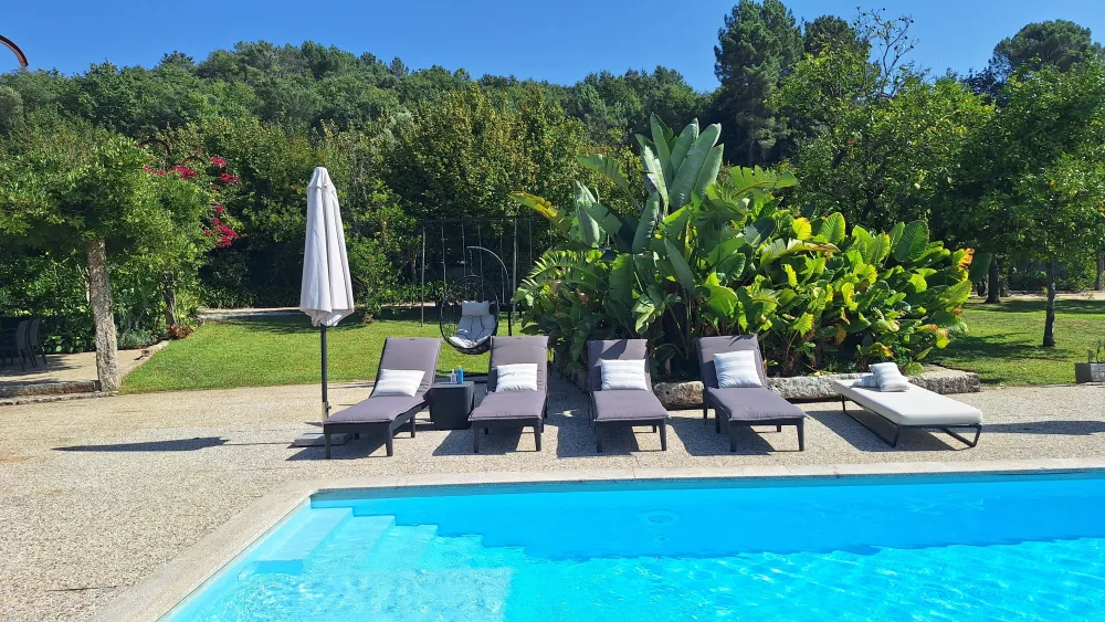 Pool and garden