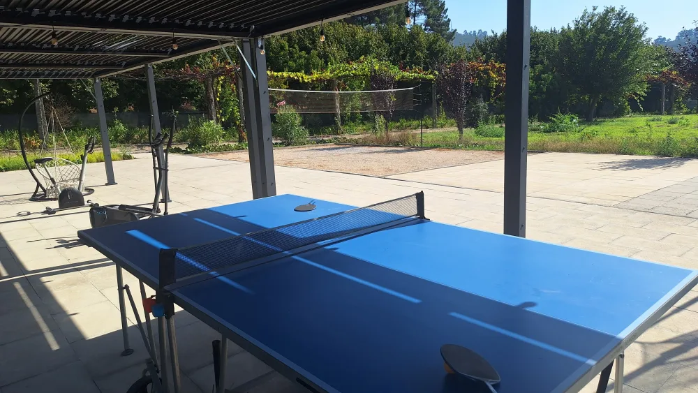 Table tennis